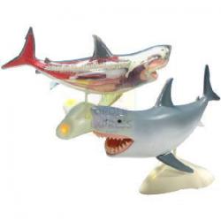 Модель акулы (с подсветкой) Модель акулы (с подсветкой)